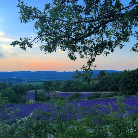 A Life Well Lived in France’s Luberon Region